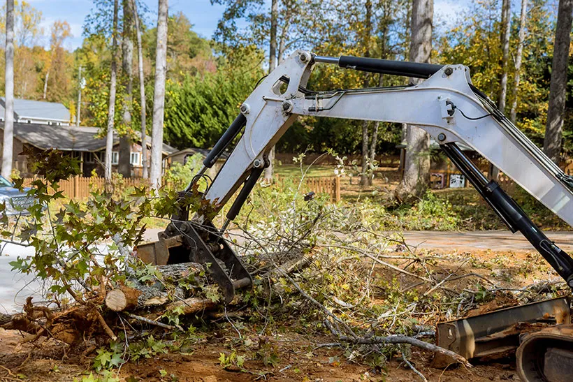 An image of a crane collecting fallen trees  on the road