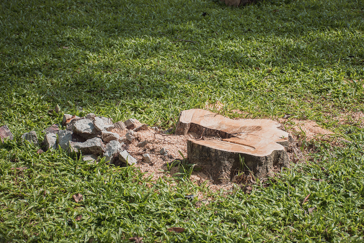 Blog Single Image